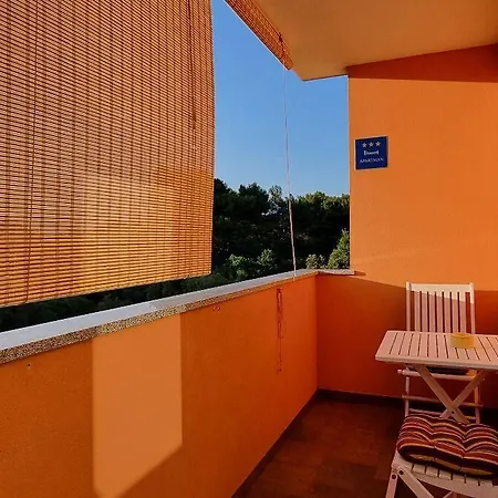 Mani - Modern Liznjan
